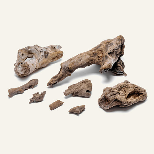 Accent Driftwood - Glass Aqua