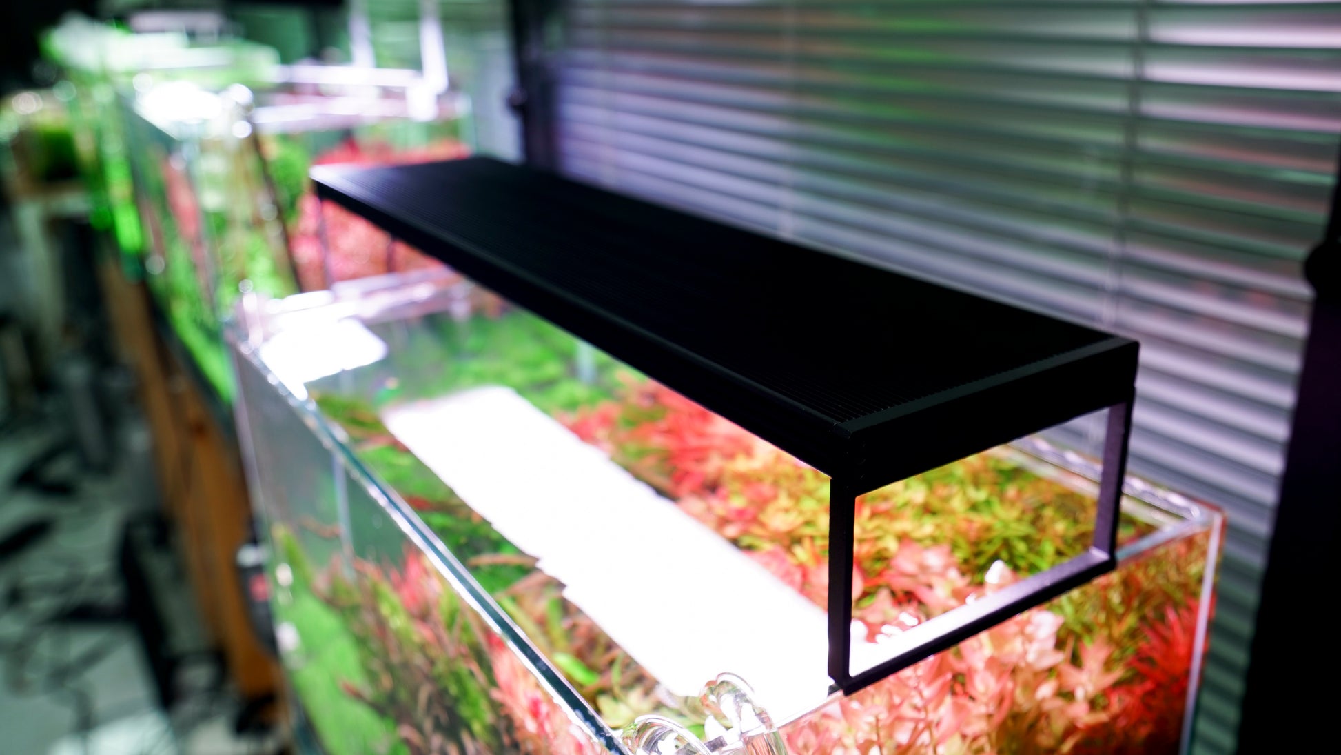 Chihiros LED Light - WRGB II Slim - Glass Aqua