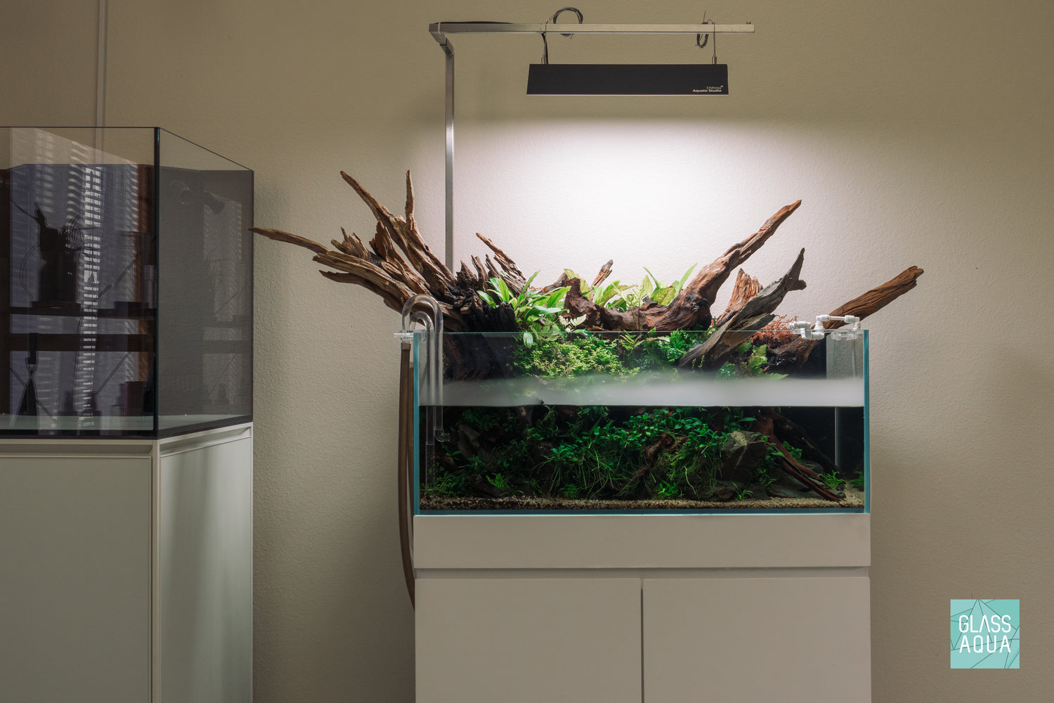 Ultum Nature Systems UNS 75S Shallow Rimless Glass Aquarium Tank Paludarium Aquascape