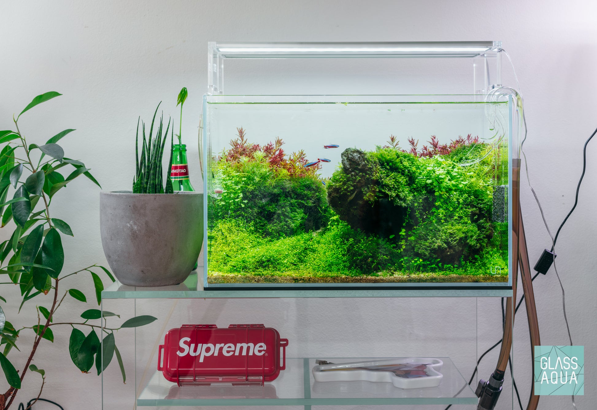 Build Your Own Tool Kit - Aquascaping Tools - Glass Aqua