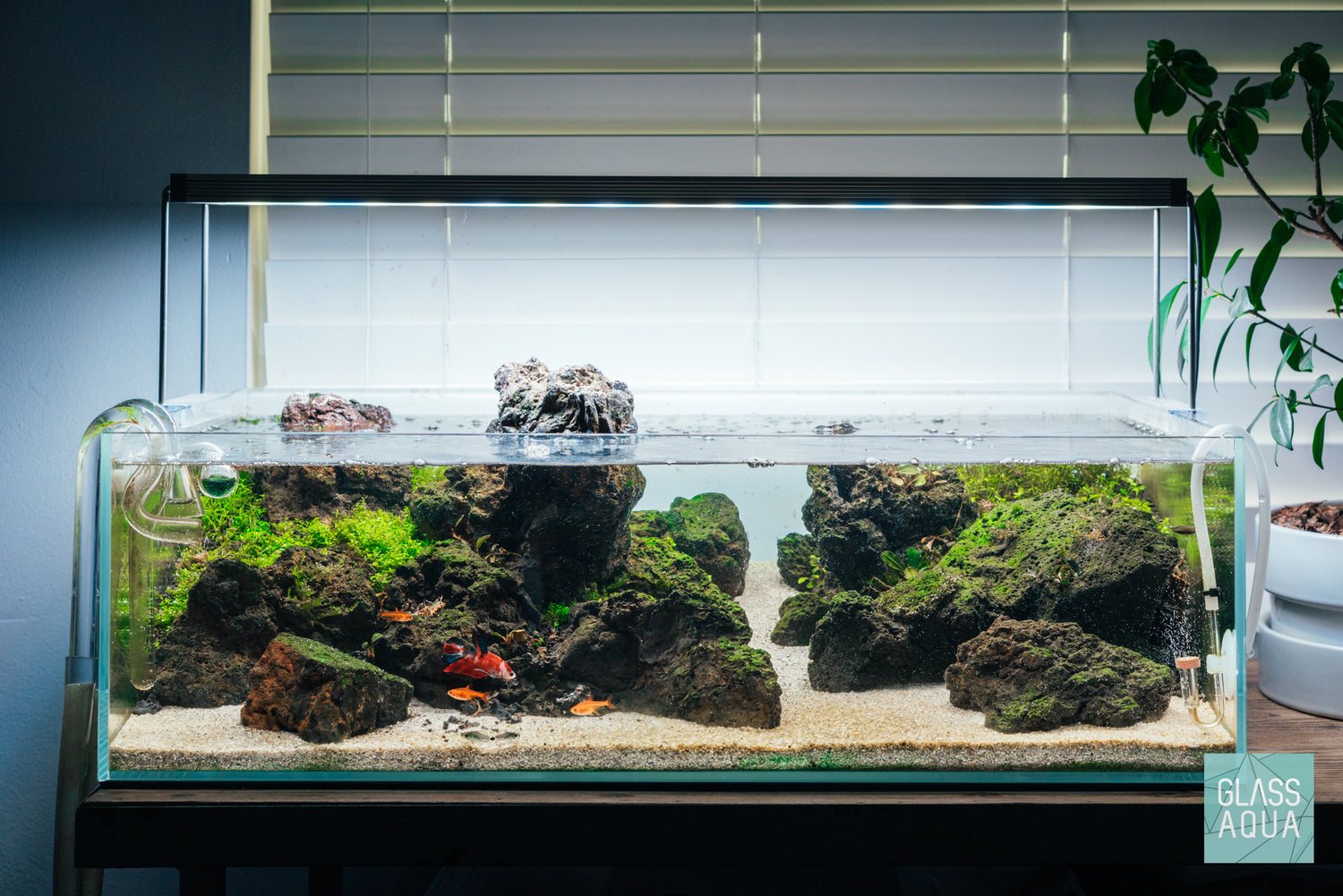 Ultum Nature Systems UNS 75S Shallow Rimless Glass Aquarium Tank Paludarium Aquascape