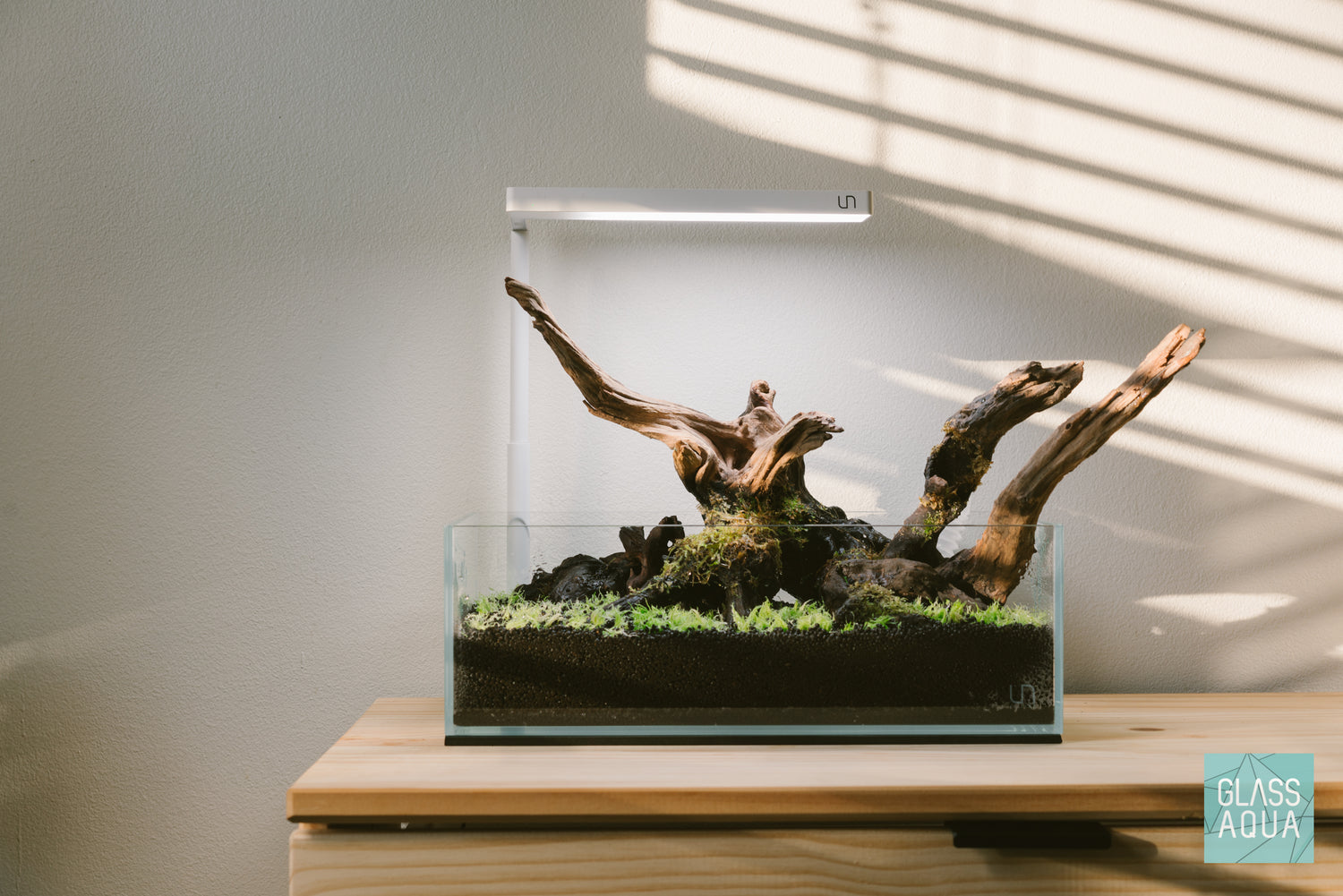 Ultum Nature Systems UNS 5N Shallow Rimless Glass Aquarium Tank Paludarium Hardscape