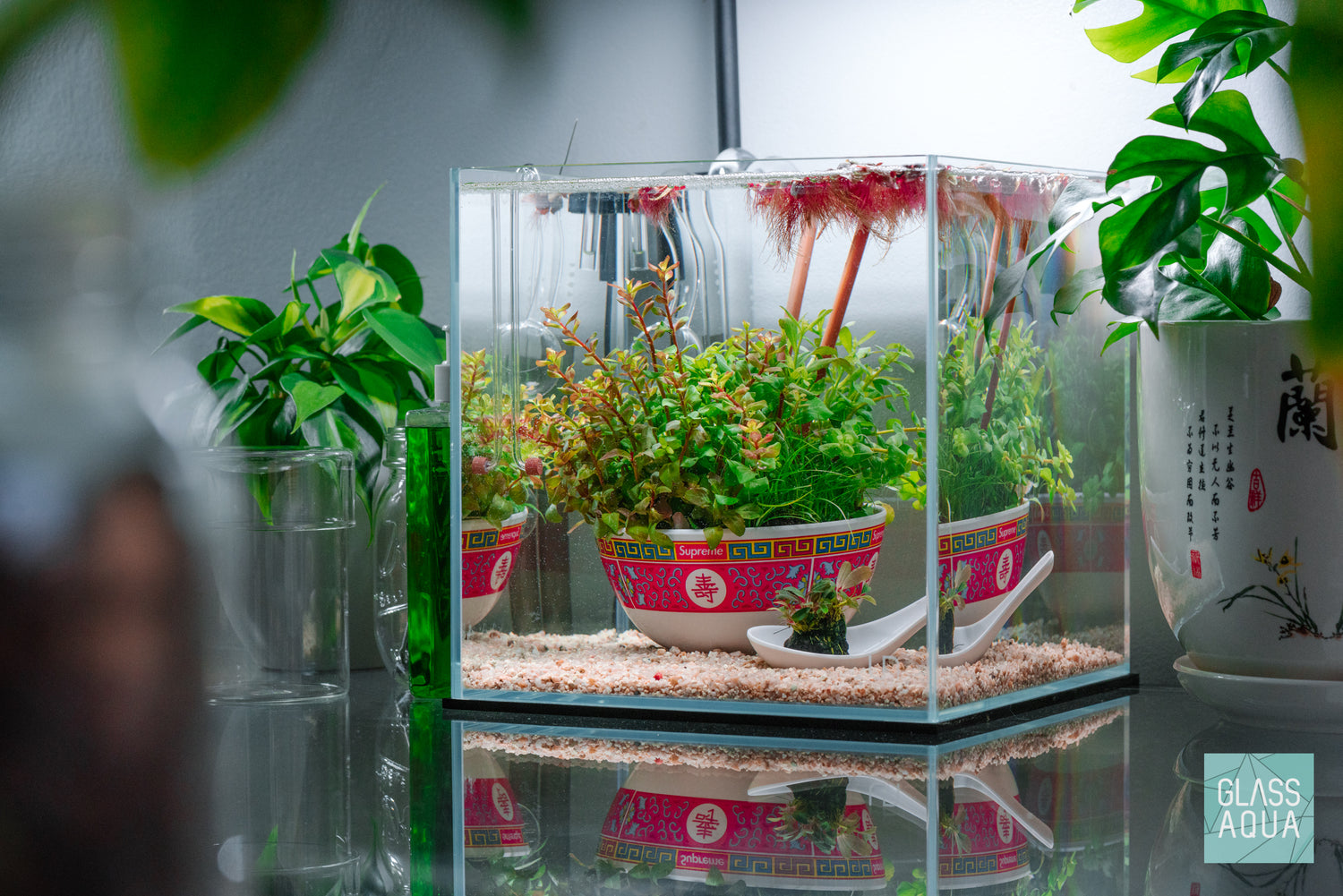 Ultum nature systems UNS 25C Cube Rimless Glass Aquarium Tank Dutch Wabi Kusa Aquascape