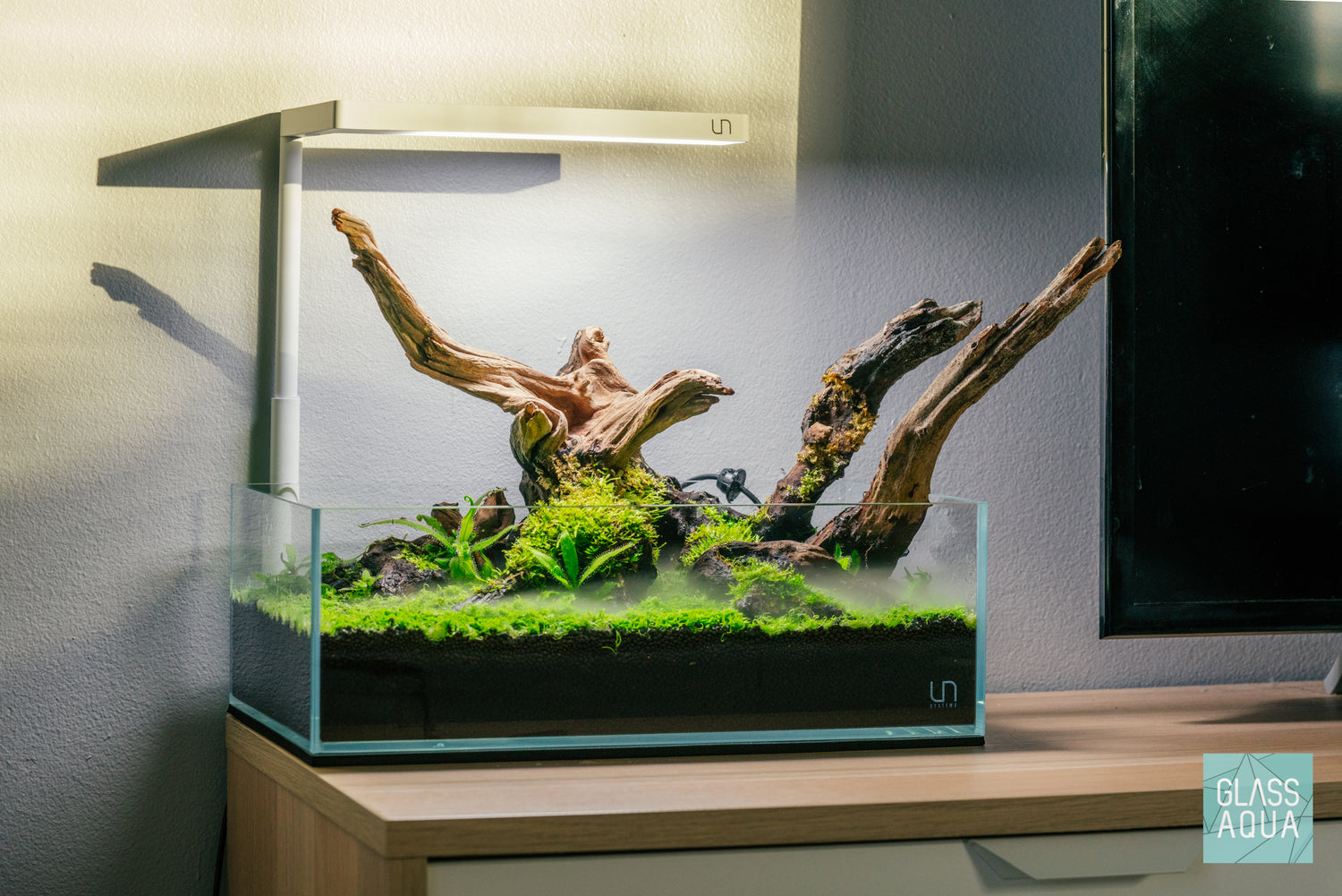 Ultum Nature Systems UNS 5N Shallow Rimless Glass Aquarium Tank Paludarium Aquascape