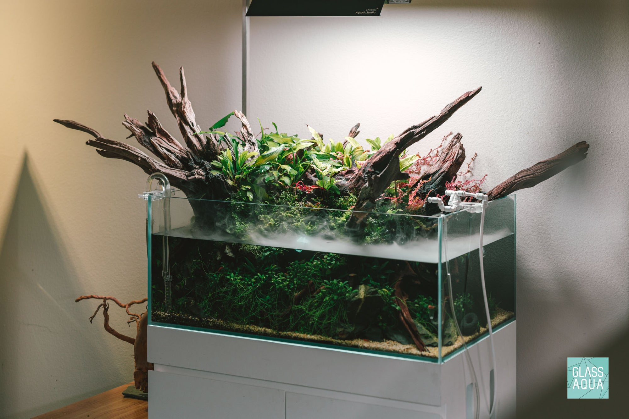 Ultum Nature Systems UNS 75S Shallow Rimless Glass Aquarium Tank Paludarium Aquascape