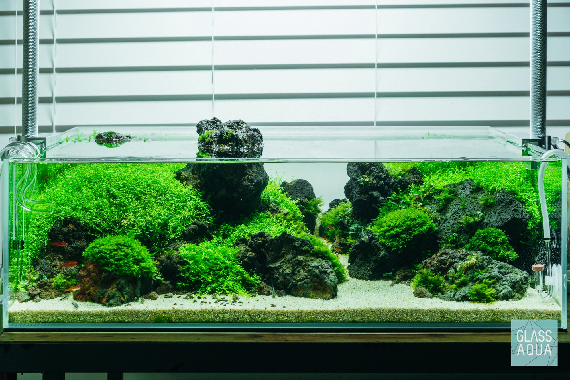 Ultum Nature Systems UNS 60S Shallow Rimless Glass Aquarium Tank Paludarium Aquascape
