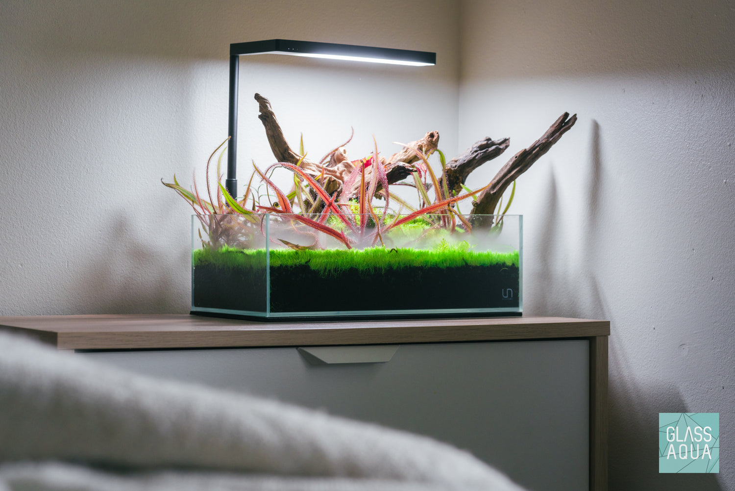 Ultum Nature Systems UNS 5N Shallow Rimless Glass Aquarium Tank Paludarium Aquascape