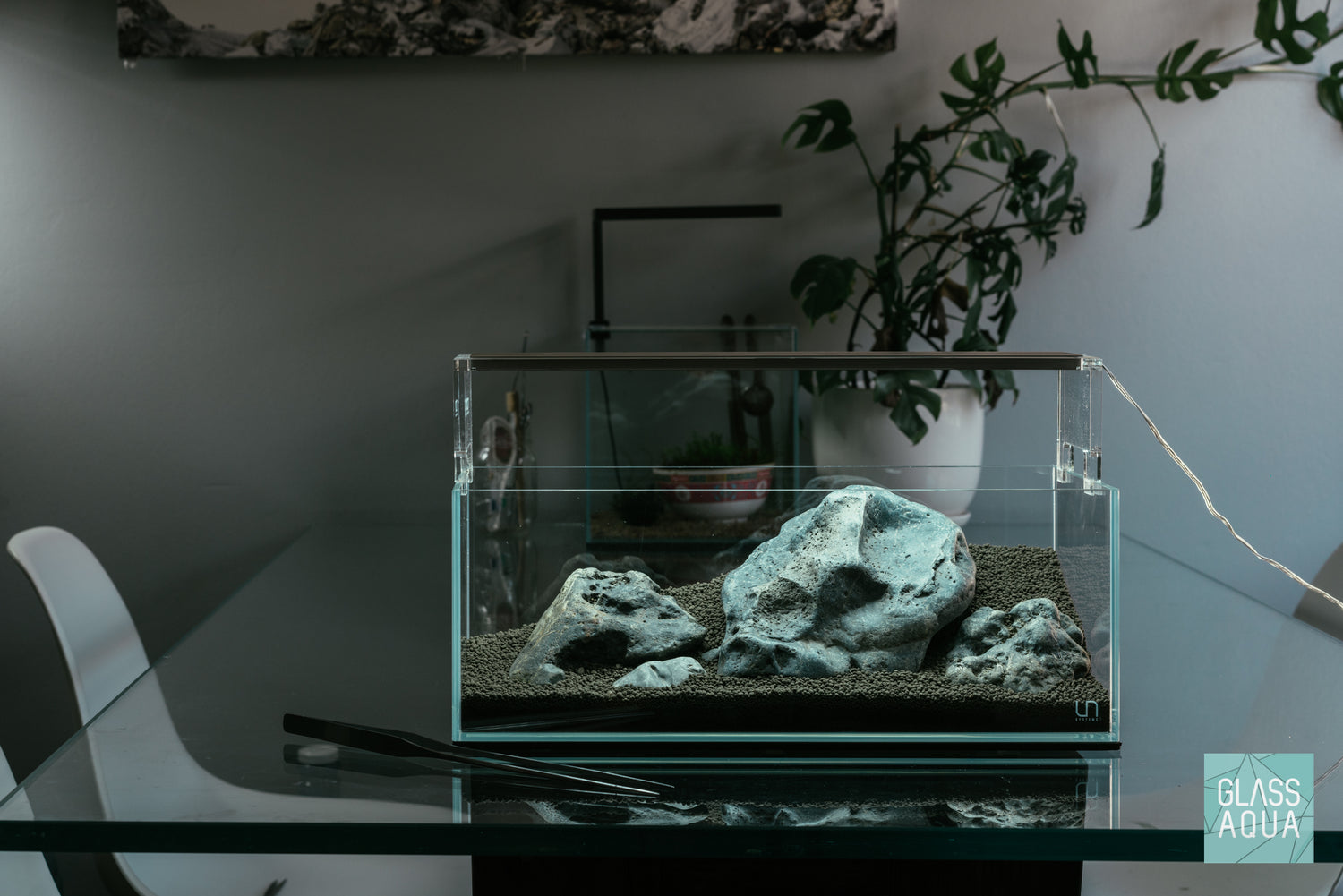 Ultum Nature Systems UNS 45L Long Rimless Glass Aquarium Tank Iwagumi Aquascape