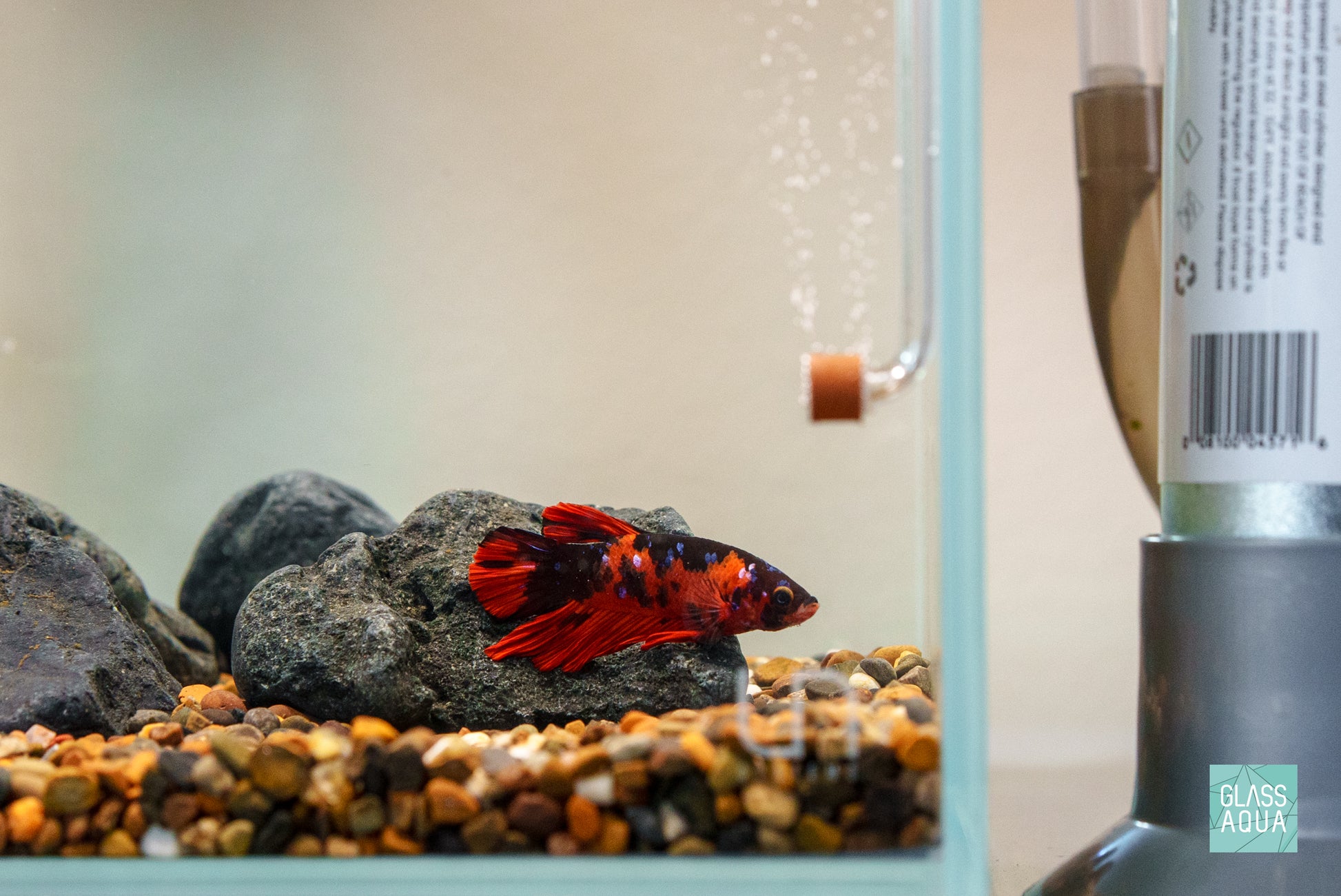 Ultum Nature Systems Controsand - Santa Fe | Planted Tank Substrate