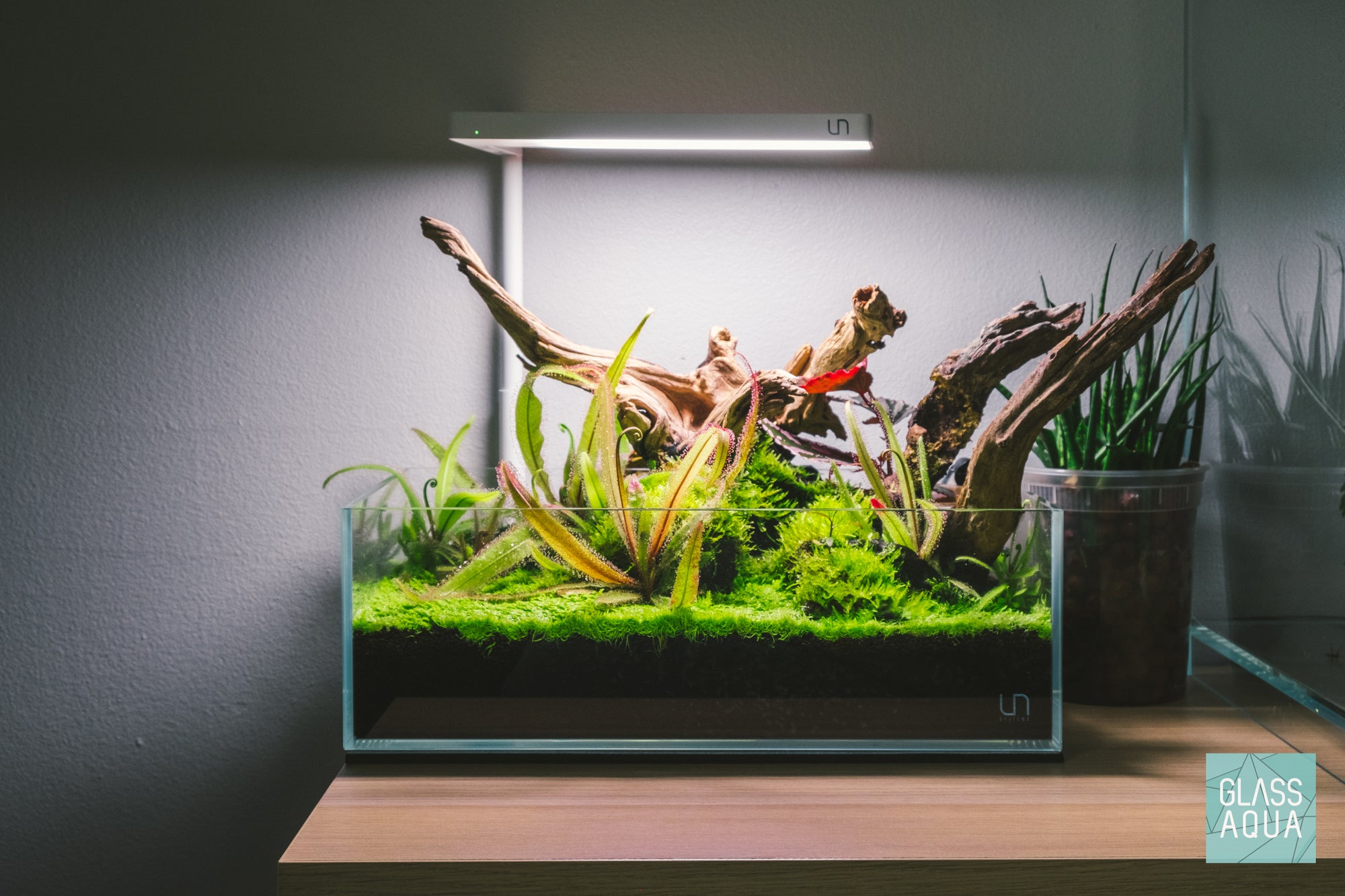 Ultum Nature Systems UNS 5N Shallow Rimless Glass Aquarium Tank Paludarium Aquascape