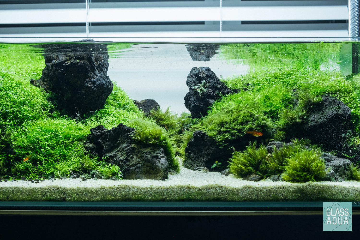 Ultum Nature Systems UNS 75S Shallow Rimless Glass Aquarium Tank Paludarium Aquascape