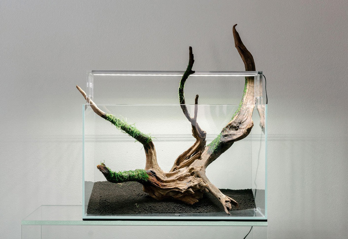 Ultum Nature Systems Standard Rimless Glass Aquarium Tank