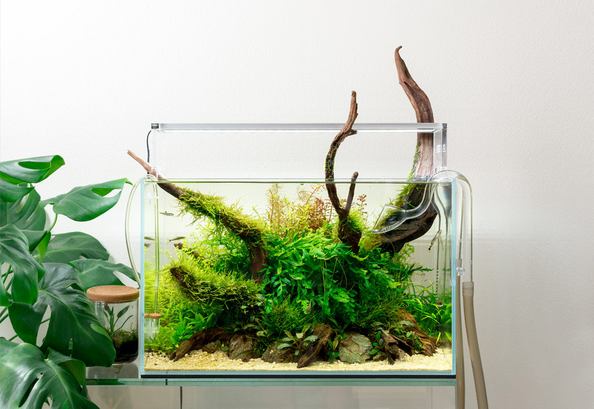 Ultum Nature Systems 45U Standard Rimless Glass Aquarium Tank