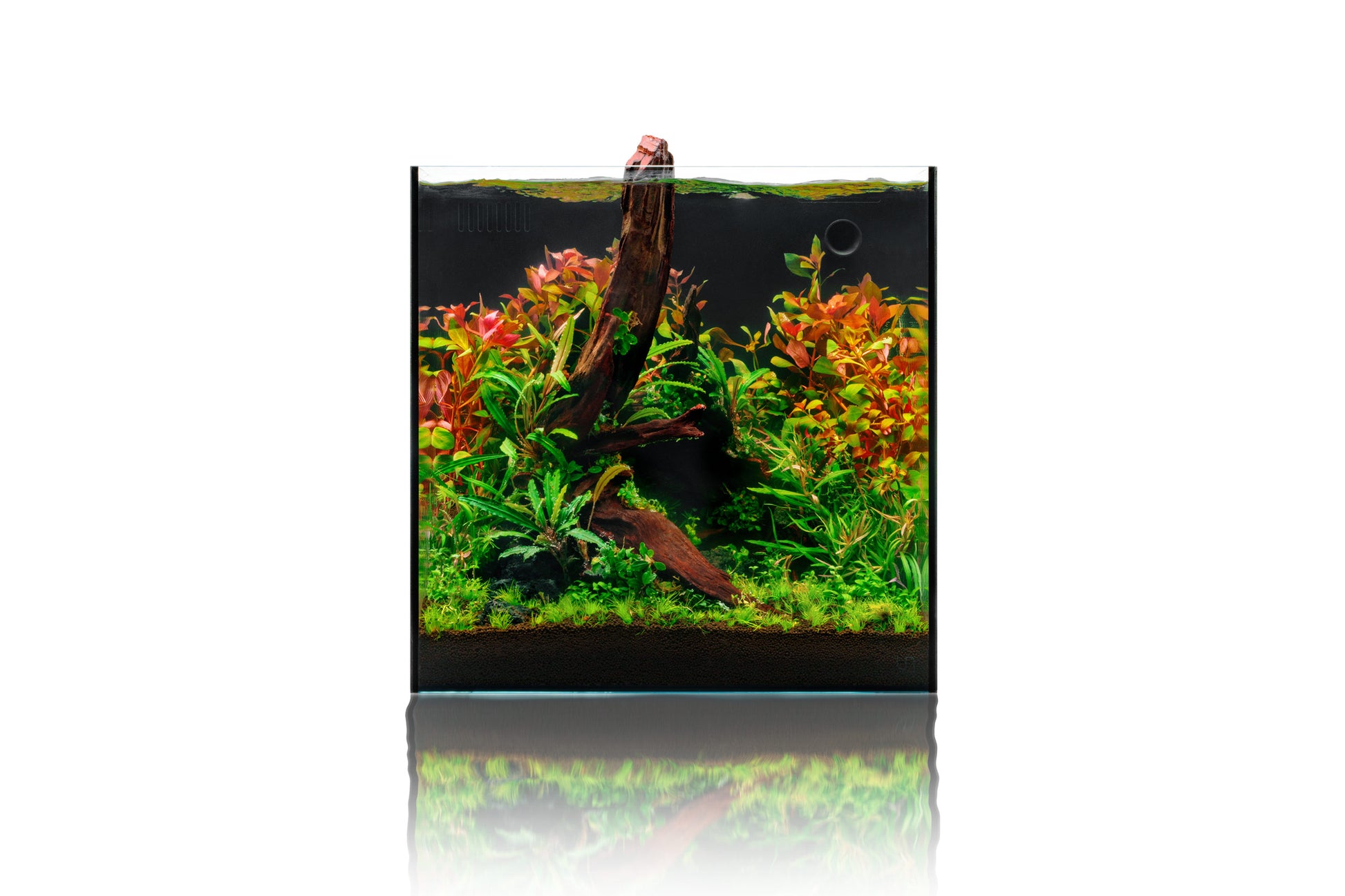 UNS Dual All-In-One Glass Aquarium Tank - Glass Aqua