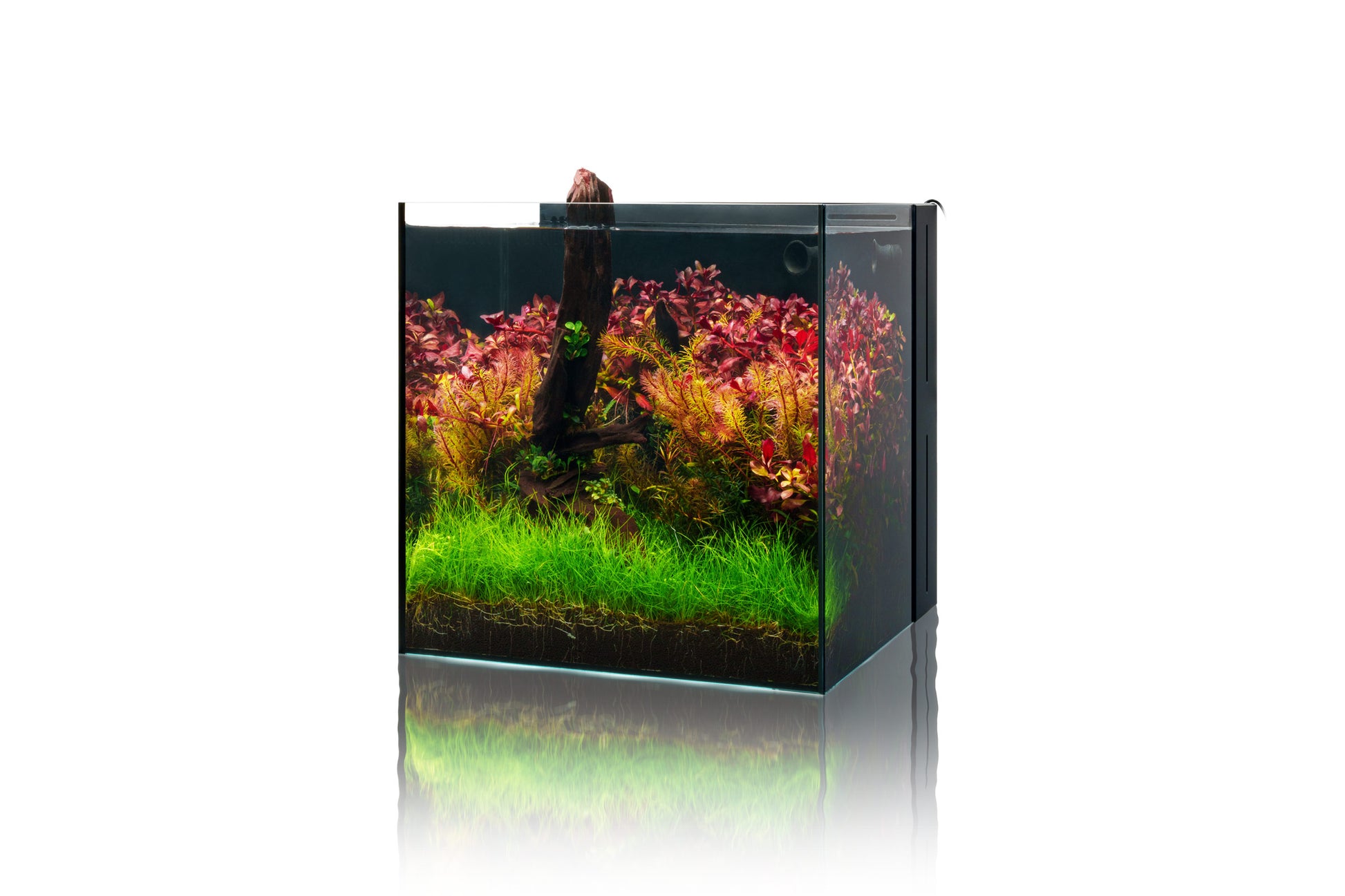 UNS Dual All-In-One Glass Aquarium Tank - Glass Aqua