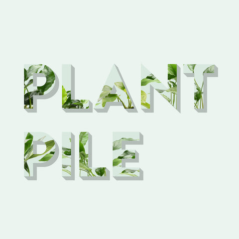 Plant Pile Value Pack - Glass Aqua