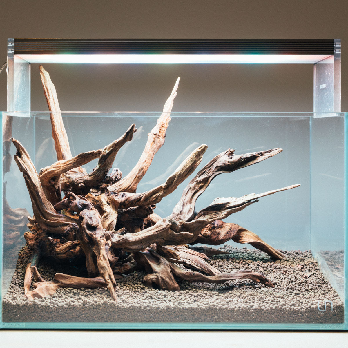 Shop Planted Tank Rock and Wood Hardscape