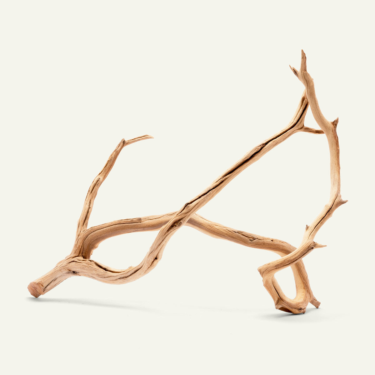 Manzanita Branch Wood - Glass Aqua