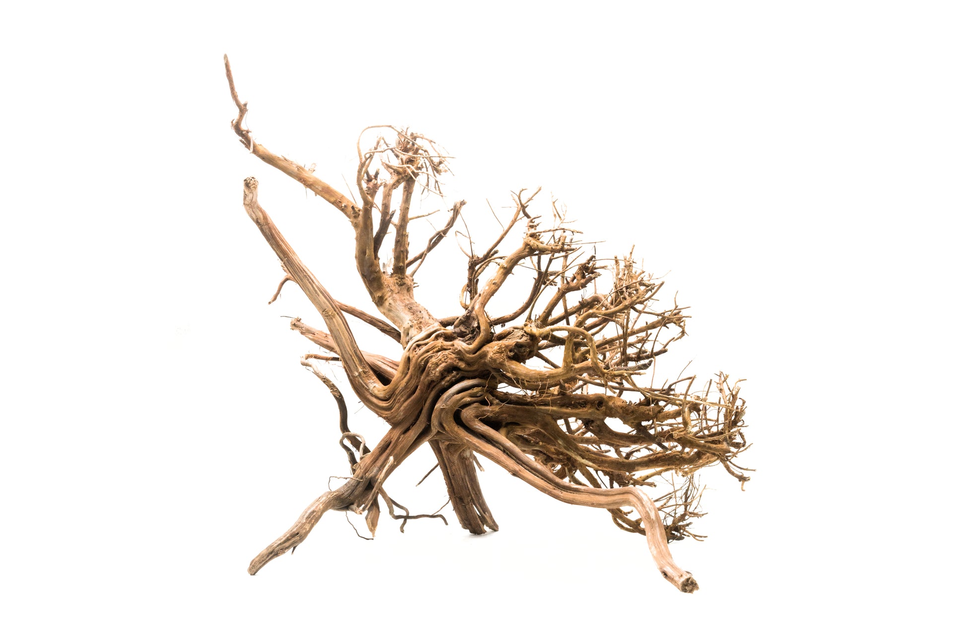 Shop Tiger Wood Hardscape - Glass Aqua