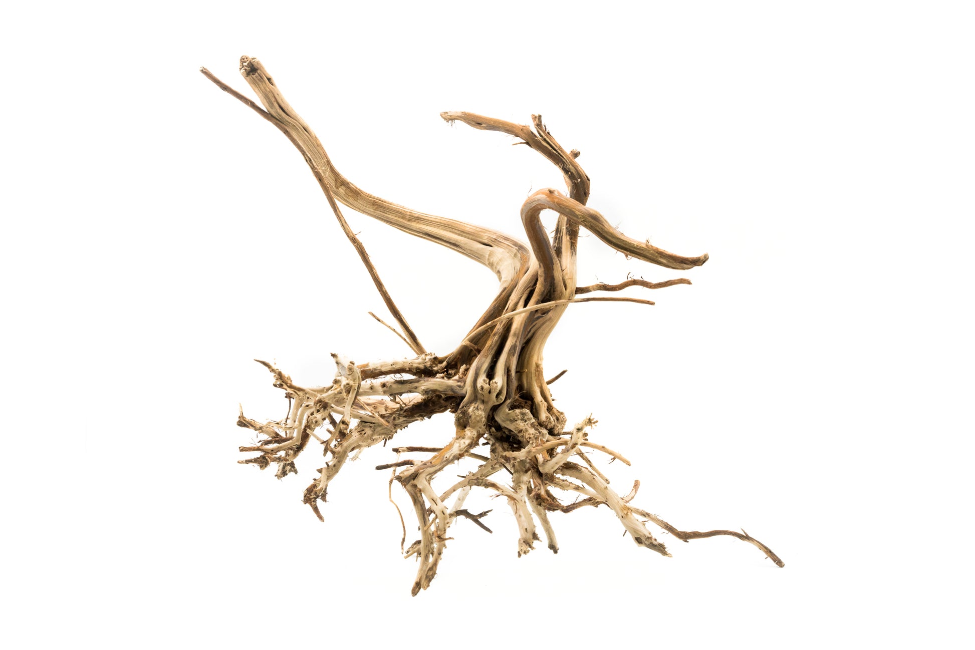 Shop Tiger Wood Hardscape - Glass Aqua