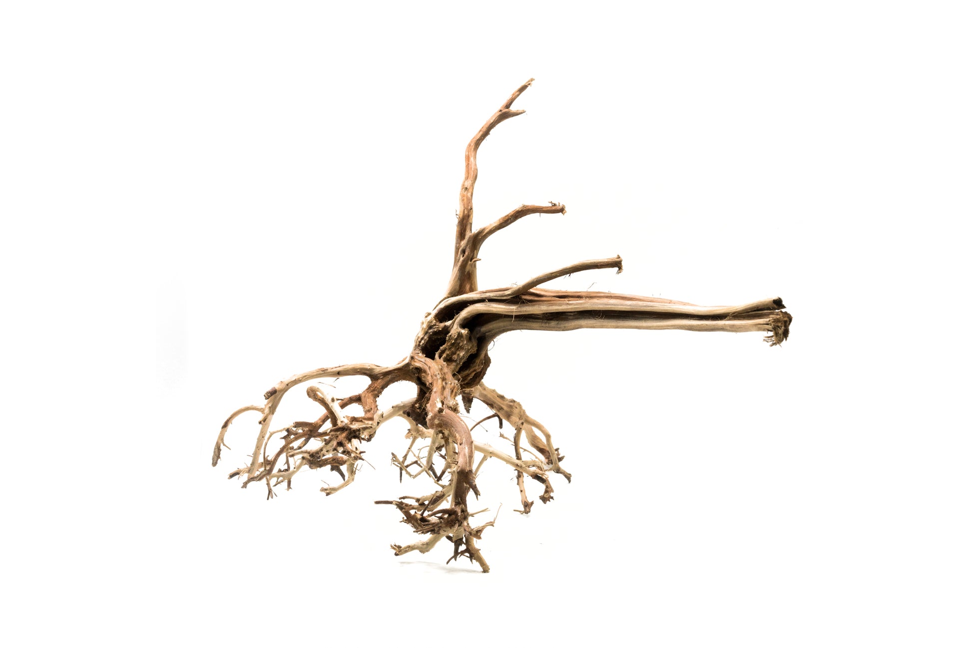 Shop Tiger Wood Hardscape - Glass Aqua