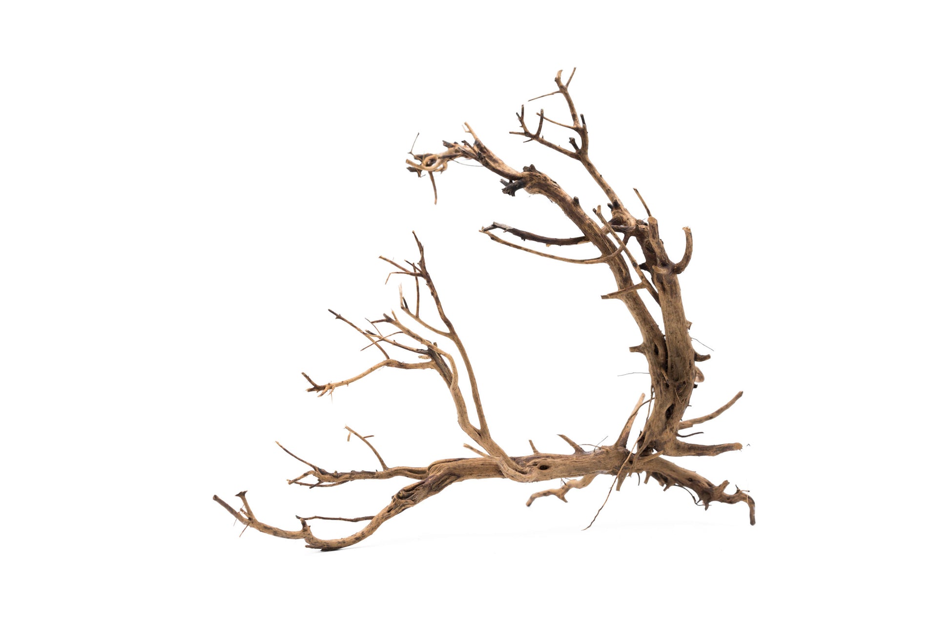 Shop Tiger Wood Hardscape - Glass Aqua