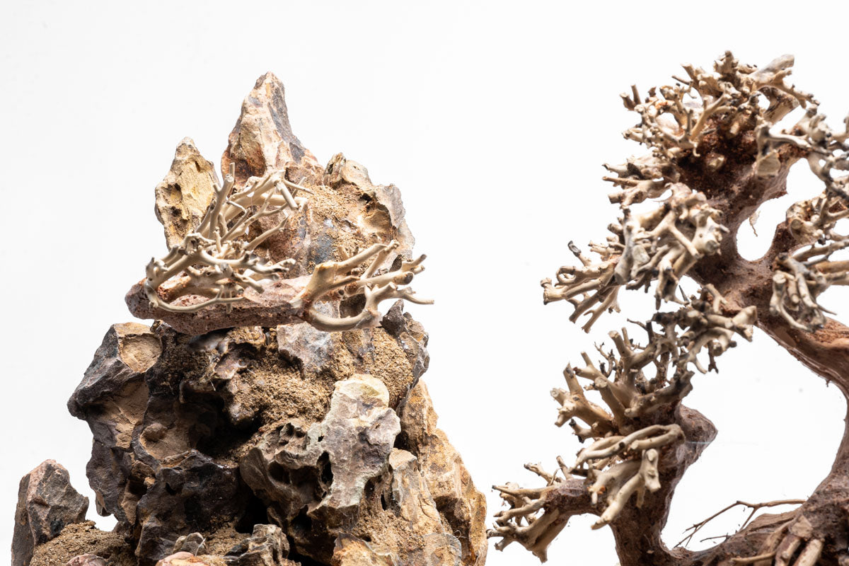 UNS Strata Pro Type 1 | WYSIWYG Planted Tank Hardscape - Glass Aqua