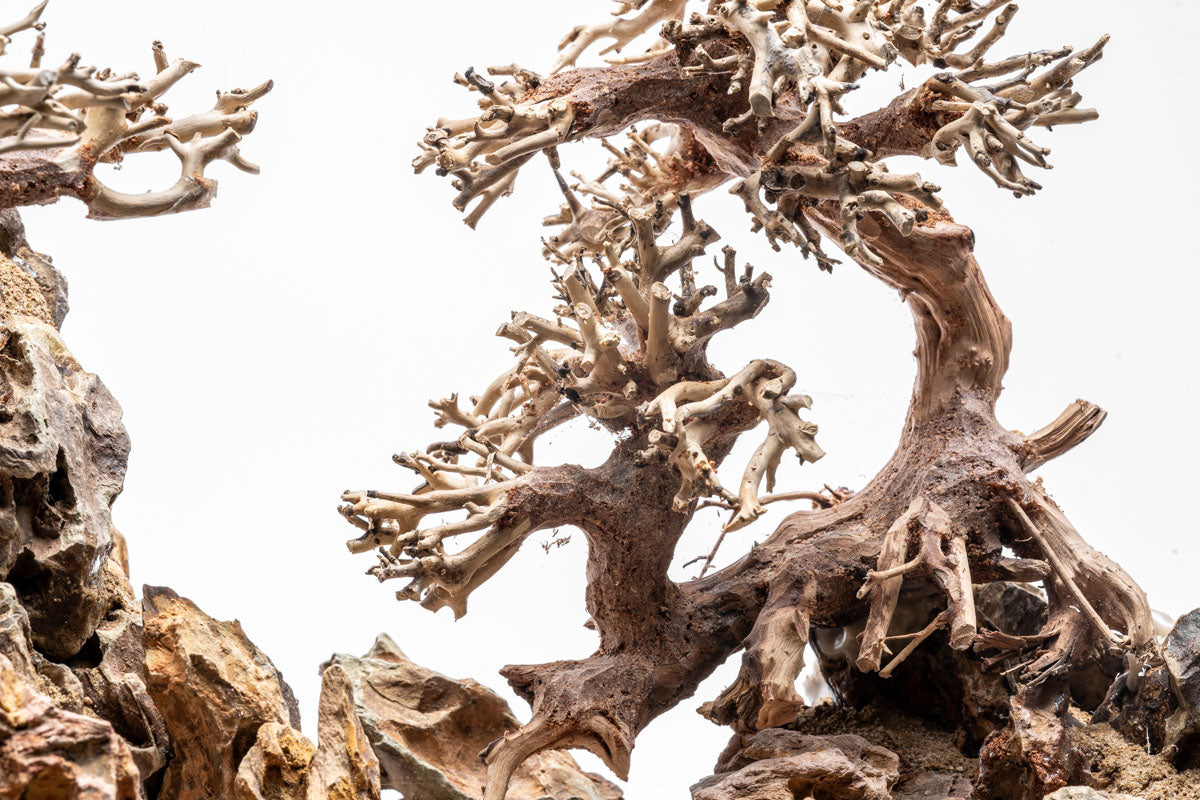 UNS Strata Pro Type 1 | WYSIWYG Planted Tank Hardscape - Glass Aqua