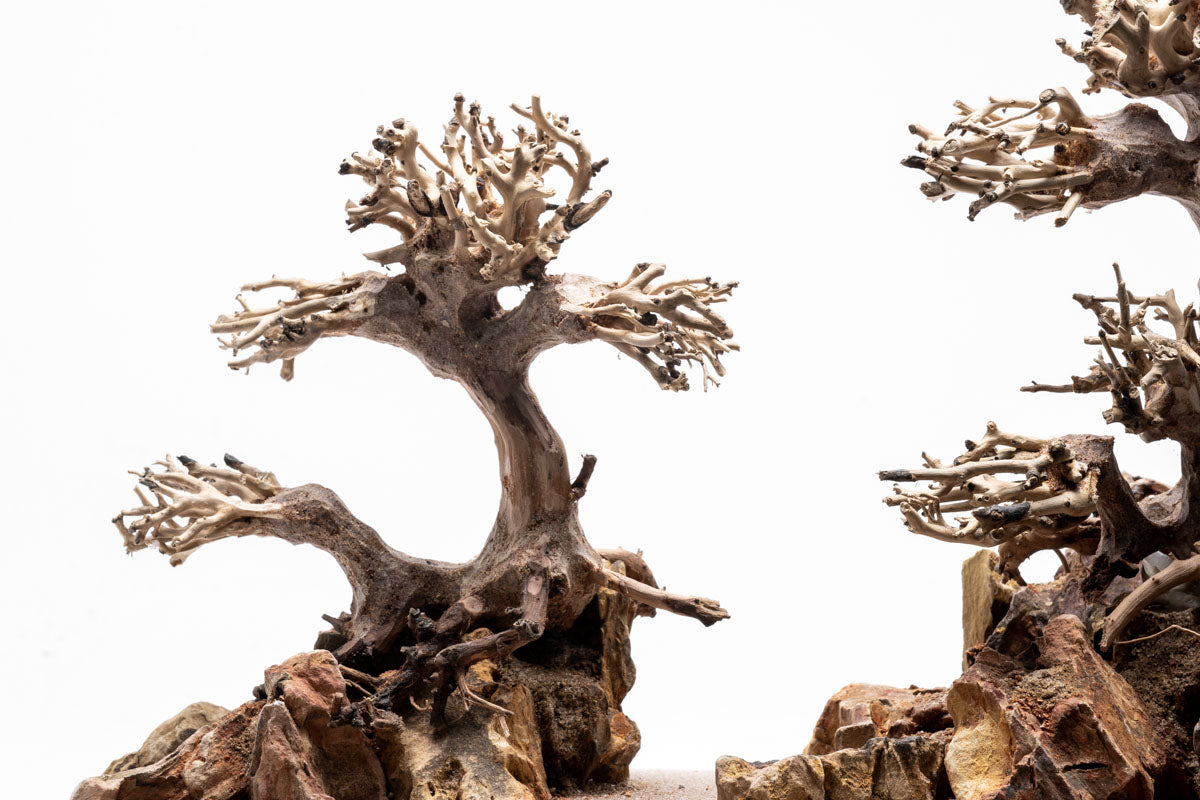 UNS Strata Pro Type 10 | WYSIWYG Planted Tank Hardscape - Glass Aqua