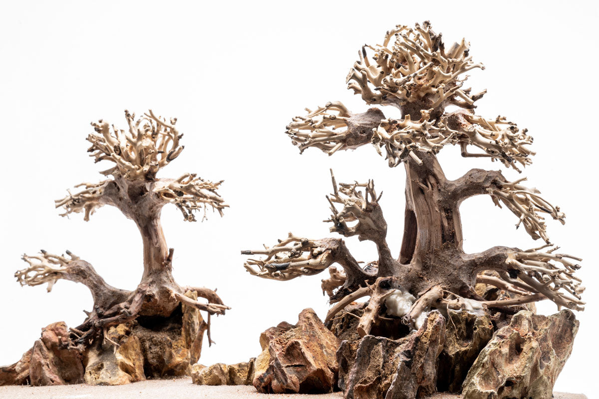 UNS Strata Pro Type 10 | WYSIWYG Planted Tank Hardscape - Glass Aqua