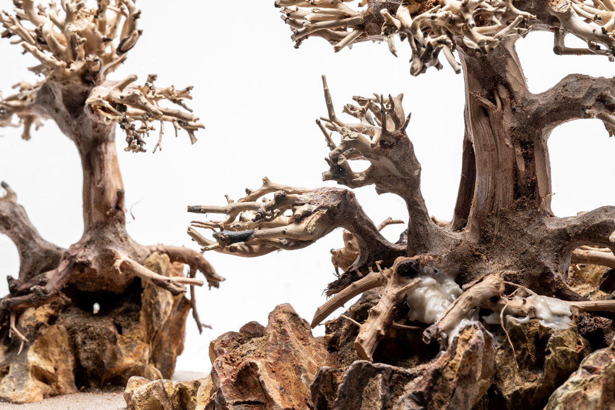 UNS Strata Pro Type 10 | WYSIWYG Planted Tank Hardscape - Glass Aqua