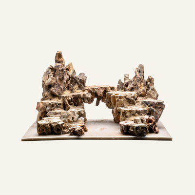 UNS Strata Pro Type 11 | WYSIWYG Planted Tank Hardscape - Glass Aqua