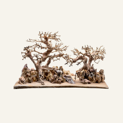 UNS Strata Pro Type 12 | WYSIWYG Planted Tank Hardscape - Glass Aqua