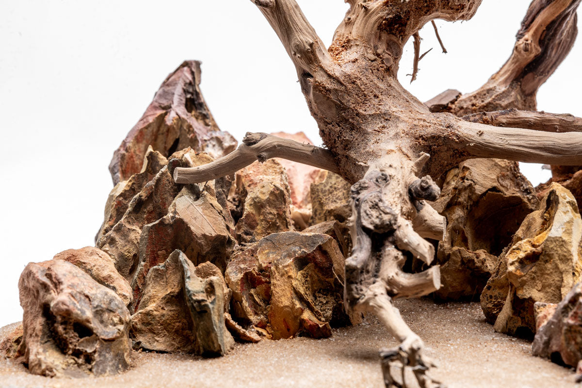 UNS Strata Pro Type 12 | WYSIWYG Planted Tank Hardscape - Glass Aqua