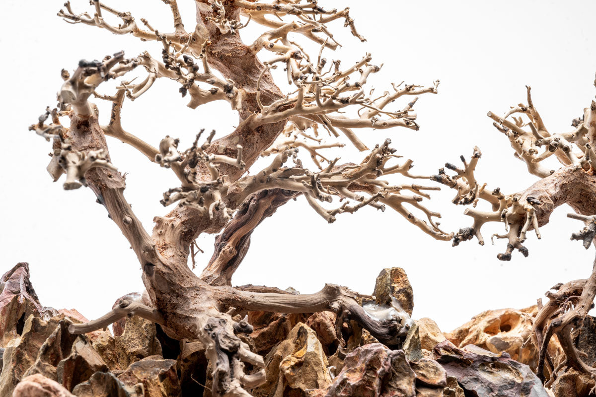 UNS Strata Pro Type 12 | WYSIWYG Planted Tank Hardscape - Glass Aqua