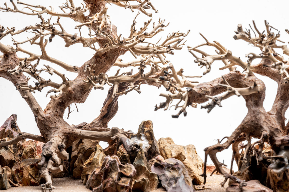 UNS Strata Pro Type 12 | WYSIWYG Planted Tank Hardscape - Glass Aqua