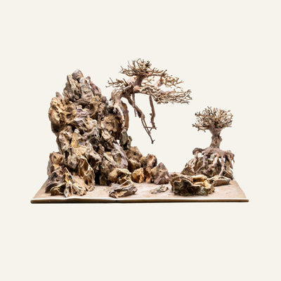 UNS Strata Pro Type 13 | WYSIWYG Planted Tank Hardscape - Glass Aqua