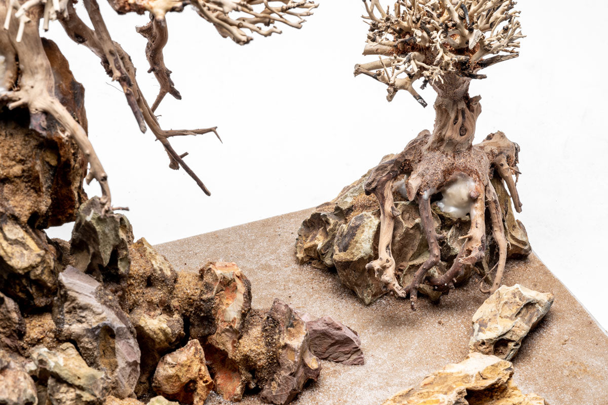 UNS Strata Pro Type 13 | WYSIWYG Planted Tank Hardscape - Glass Aqua