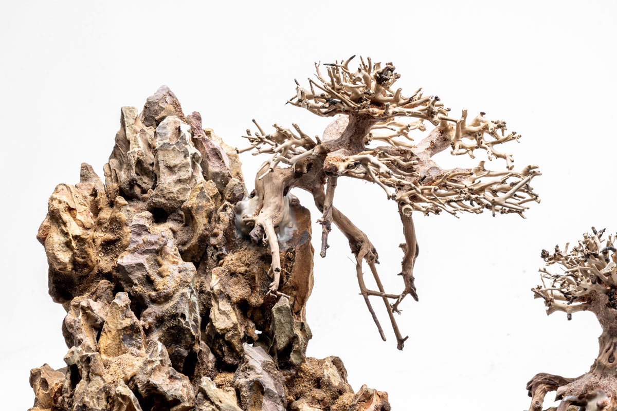 UNS Strata Pro Type 13 | WYSIWYG Planted Tank Hardscape - Glass Aqua