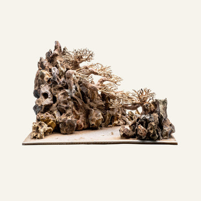 UNS Strata Pro Type 14 | WYSIWYG Planted Tank Hardscape - Glass Aqua