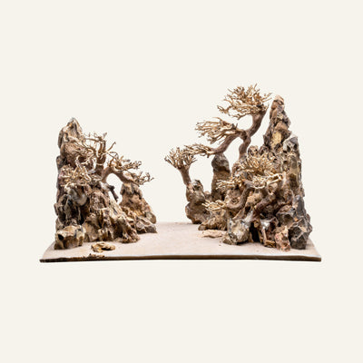 UNS Strata Pro Type 15 | WYSIWYG Planted Tank Hardscape - Glass Aqua