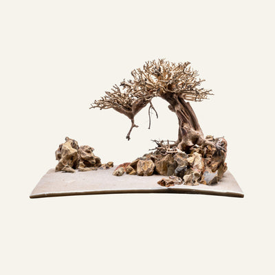 UNS Strata Pro Type 16 | WYSIWYG Planted Tank Hardscape - Glass Aqua