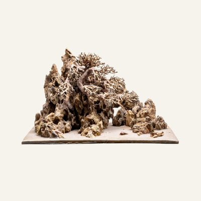 UNS Strata Pro Type 17 | WYSIWYG Planted Tank Hardscape - Glass Aqua