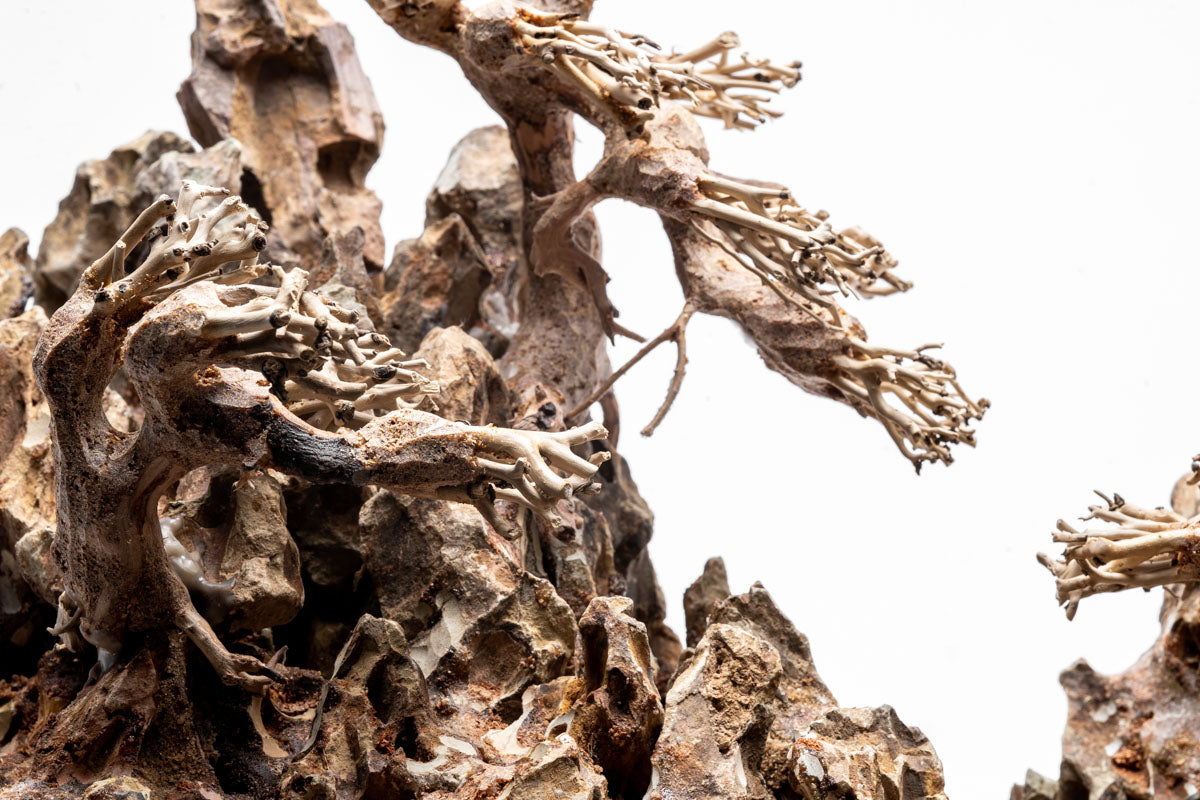 UNS Strata Pro Type 3 | WYSIWYG Planted Tank Hardscape - Glass Aqua