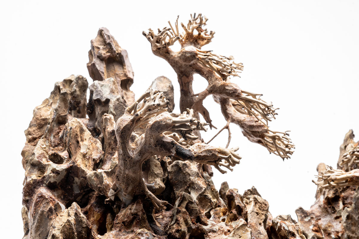 UNS Strata Pro Type 3 | WYSIWYG Planted Tank Hardscape - Glass Aqua