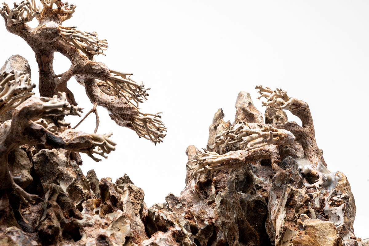 UNS Strata Pro Type 3 | WYSIWYG Planted Tank Hardscape - Glass Aqua