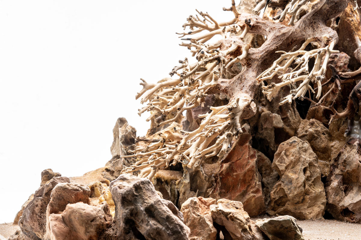 UNS Strata Pro Type 4 | WYSIWYG Planted Tank Hardscape - Glass Aqua