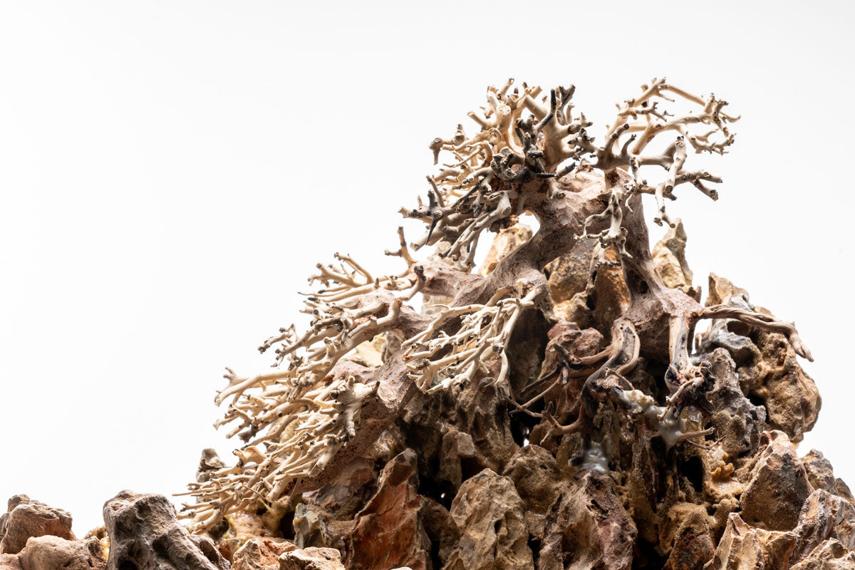 UNS Strata Pro Type 4 | WYSIWYG Planted Tank Hardscape - Glass Aqua