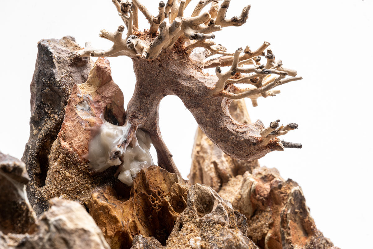 UNS Strata Pro Type 7 | WYSIWYG Planted Tank Hardscape - Glass Aqua