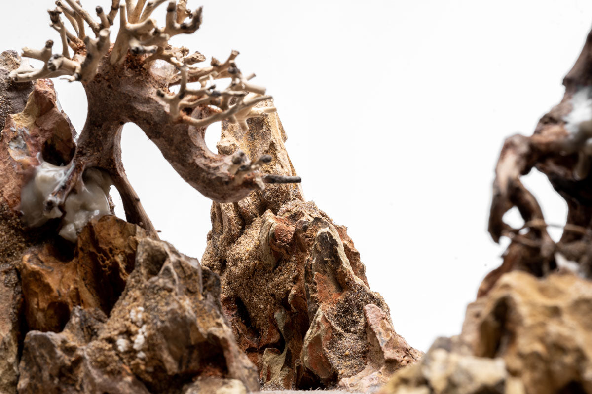 UNS Strata Pro Type 7 | WYSIWYG Planted Tank Hardscape - Glass Aqua